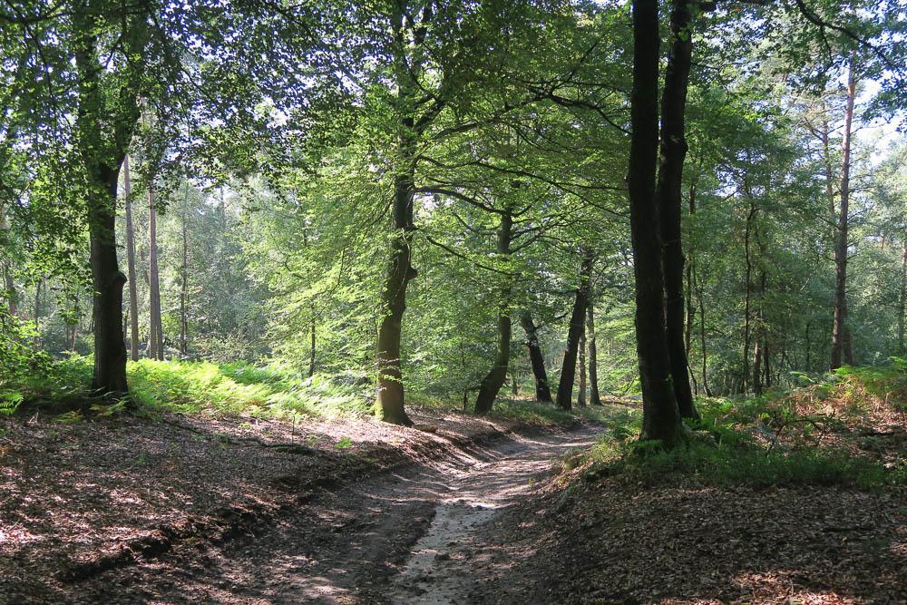 Het Kleine Landgoed Villa Haarle Kültér fotó