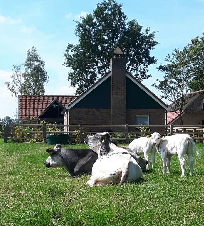 Het Kleine Landgoed Villa Haarle Kültér fotó